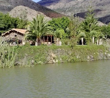 Ayagaures *